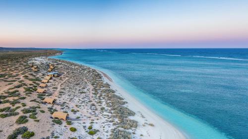 an aerial view of a beach with the ocean at Sal Salis Ningaloo Reef in Exmouth
