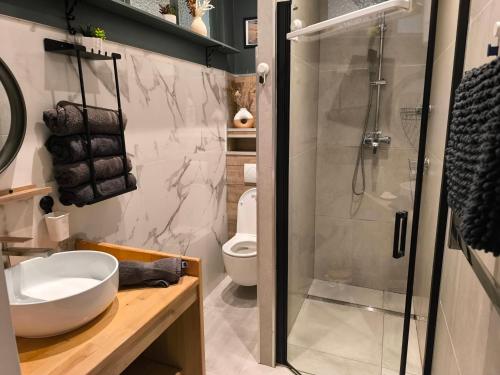 a bathroom with a shower and a sink and a toilet at Villa Leone Rénové à 500m de la Plage in Dunkerque