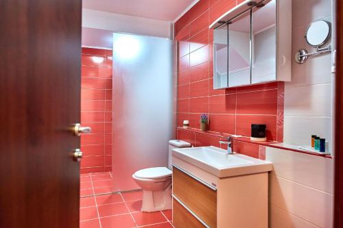 エフォリエ・スドにあるApartament Madagascar Boutik Cytadellのトイレと洗面台付きのバスルーム