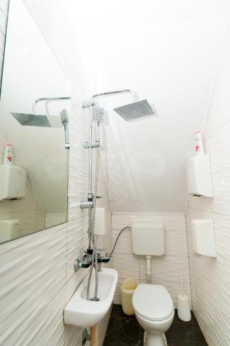 a bathroom with a toilet and a sink at Restoran Ruža in Jablanica