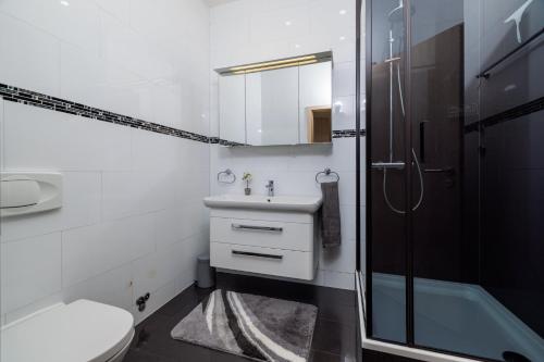 ein Badezimmer mit Waschbecken, Toilette und Dusche in der Unterkunft Villa Ivka in Crikvenica