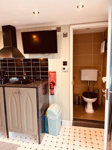 a bathroom with a toilet and a sink at The Little Fountain House in Dawlish