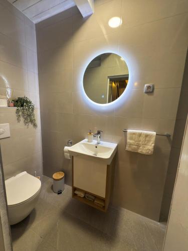 a bathroom with a toilet and a sink and a mirror at Pineta Blidinje in Blidinje