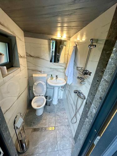 a small bathroom with a toilet and a sink at Chalet Valisoara Cluj in Vălisoara