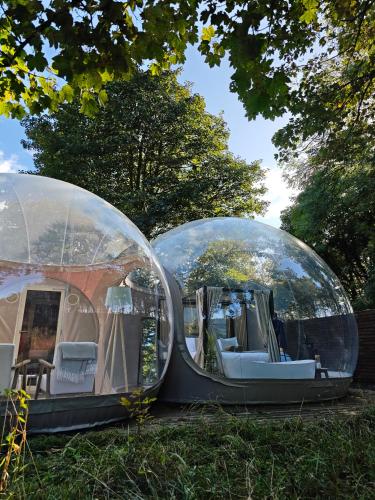 two glass domes sitting on the grass in front of a house at Cromore Retreat in Portstewart