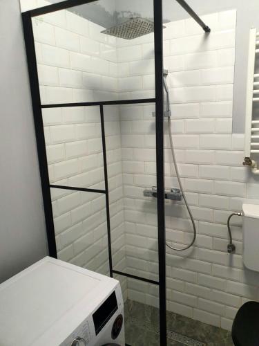 eine Dusche mit Glastür im Badezimmer in der Unterkunft Edgar Apartment in Bukarest