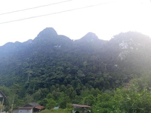 Příroda nedaleko penzionu