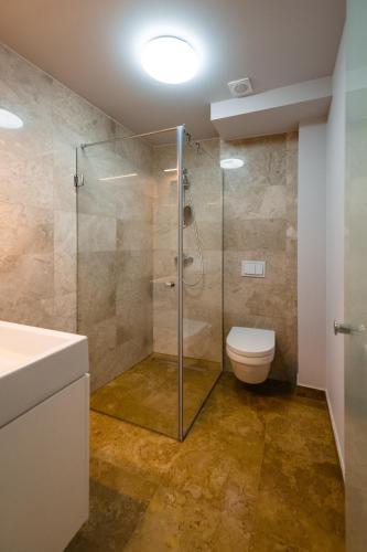 a bathroom with a glass shower and a toilet at Thyon Residence in Alba Iulia