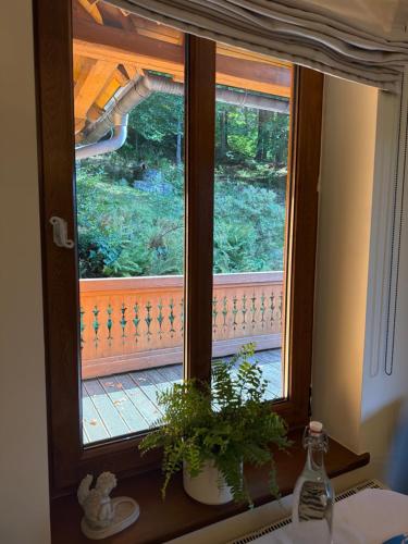 Gallery image of Pensjonat Alpejski Dwór in Miedzygorze