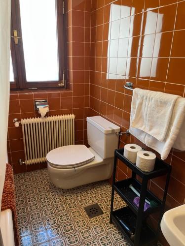 a bathroom with a toilet and a sink at Landhaus Christina Alpbach in Alpbach