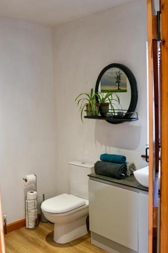a bathroom with a white toilet and a mirror at Tranquil and cosy cottage on the Somerset Levels in Bridgwater