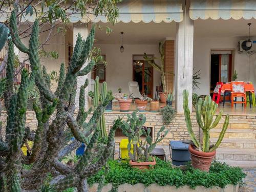 a group of cacti and plants on a house at Casa Letizia Appartamento Completo in Sannicola