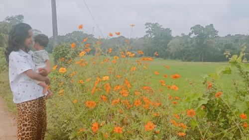 Gallery image of Bamboo world kuruva in Chekadi