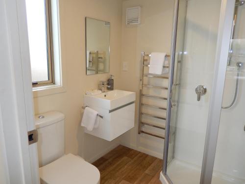 a bathroom with a toilet and a sink and a shower at The Red Hut in Lake Tekapo