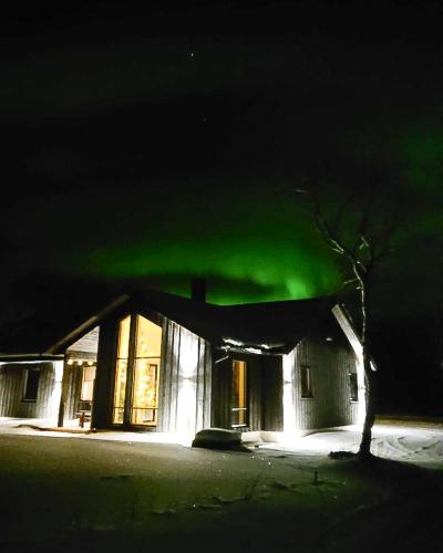a house with the green northern lights above it at night at Forest lodge in Norskholmen
