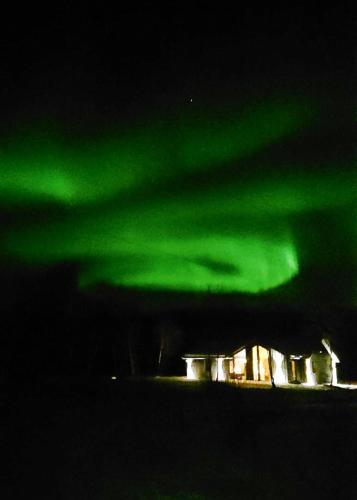 an image of the northern lights in the sky at Forest lodge in Norskholmen