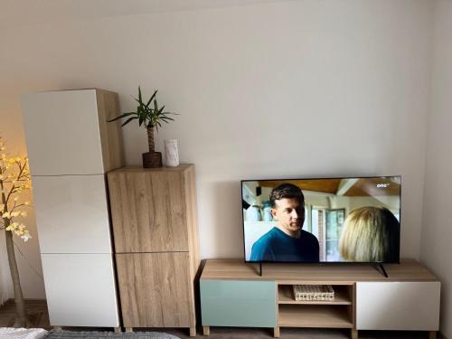 Μια τηλεόραση ή/και κέντρο ψυχαγωγίας στο Ferienwohnung am Wald und Hannover Stadt, Contactless Check -in, free parking,