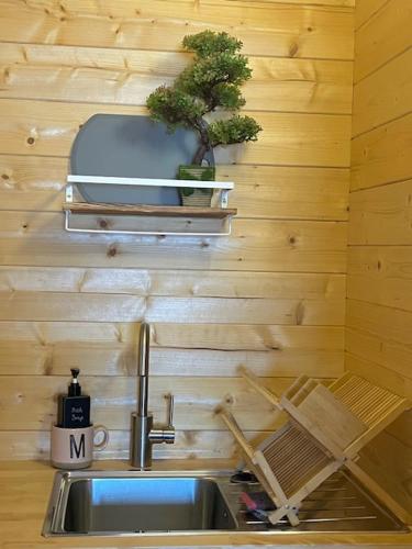 a kitchen with a sink and a plant on a wall at Casinha Melissa in São Roque do Pico