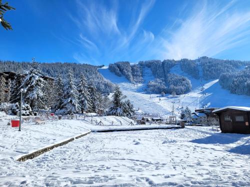 a snow covered mountain with trees and a building at Lumineux studio vue montagne cote 2000 in Villard-de-Lans