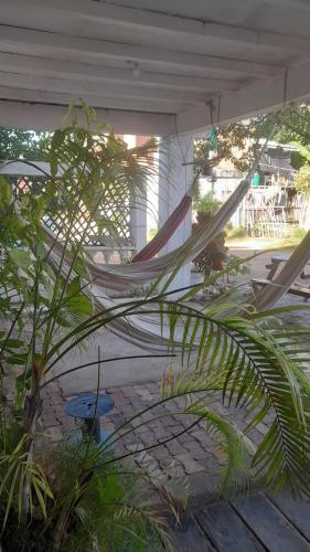 a couple of hammocks sitting on a porch at Sauka Loft Hostel in Rincón