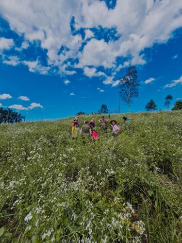 a group of children walking in a field of flowers at Lauro Muller, Rancho Queimado in Louro Müller