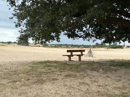 a picnic bench sitting under a tree in a field at Appelscha aan de diek in Appelscha