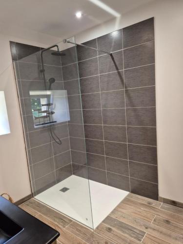 a shower with a glass door in a bathroom at Gîte de la Coup'Neuve in Chemilli