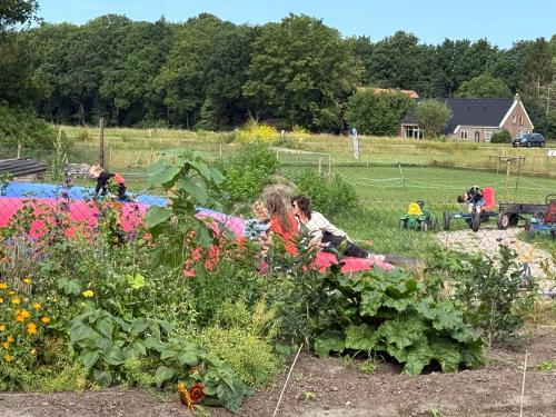 a group of children sitting in a garden at Appelscha aan de diek in Appelscha