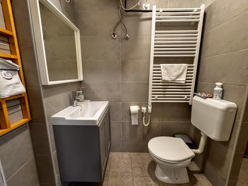 a small bathroom with a toilet and a sink at Cozy Modern Studio in Debrecen