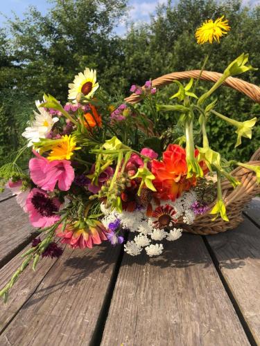 a basket of flowers sitting on a wooden table at Appelscha aan de diek in Appelscha