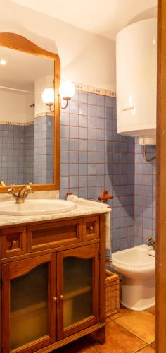 a bathroom with a sink and a mirror and a toilet at Sant Llorenç in Sant Llorenç de la Muga