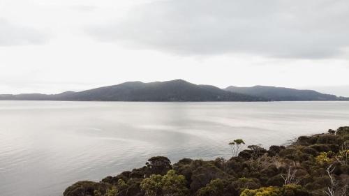 a view of a large body of water with a tree at Mandala Bruny Island in Alonnah