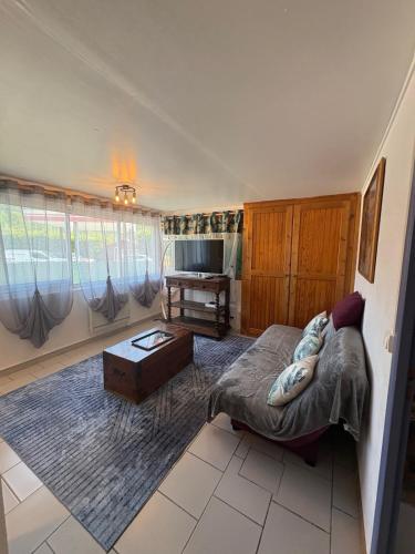 a living room with a couch and a tv at Petite maison au coeur des Hautes-Alpes in Aspres-sur-Buëch