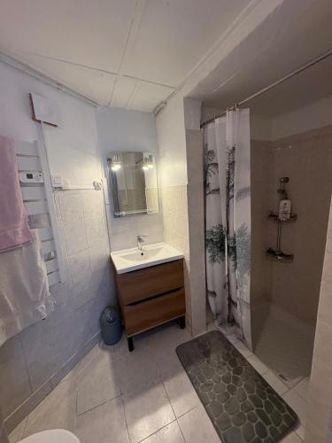 a bathroom with a sink and a shower at Petite maison au coeur des Hautes-Alpes in Aspres-sur-Buëch
