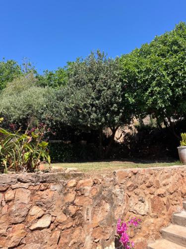 Ein Garten an der Unterkunft Cozy Cottage on 5th Avenue