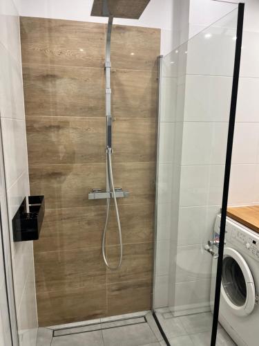 Ένα μπάνιο στο Apartament Matejki