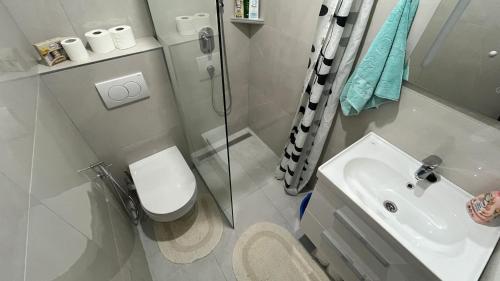 a bathroom with a sink and a toilet and a shower at Old Town Sidro Apartment in Sarajevo