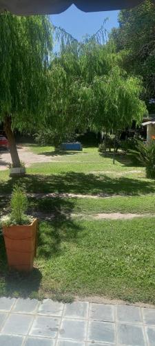 a park with trees and a pot in the grass at BERIMI Hospedaje Familiar in Cerrillos