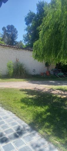 a shadow of a tree next to a wall at BERIMI Hospedaje Familiar in Cerrillos