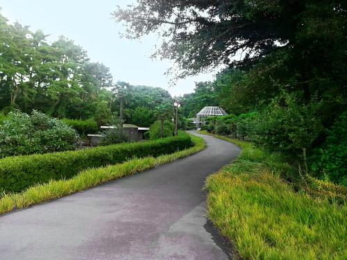 a winding road in a park with grass and trees at Seogwipo KAL Hotel in Seogwipo