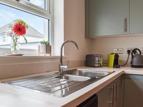 a kitchen sink with a red flower in a window at Burrows Ridge in Appledore