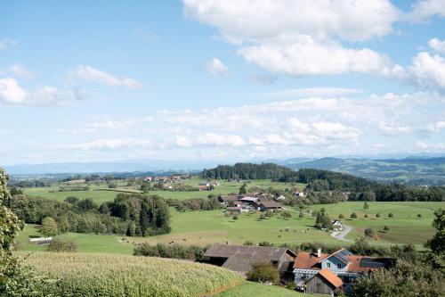 a small village in a green field with cows at Hotel & Restaurant Nollen in Hosenruck