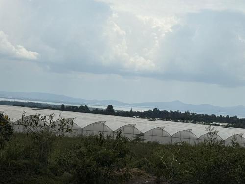 a row of green domes on top of a field at The Haven Grove Naivasha in Naivasha
