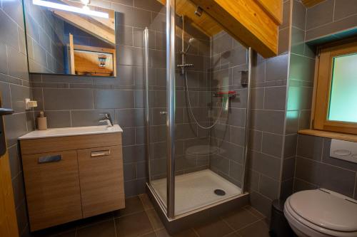 łazienka z prysznicem i toaletą w obiekcie Chalet Clemalou 14-15 Personnes w mieście Châtel