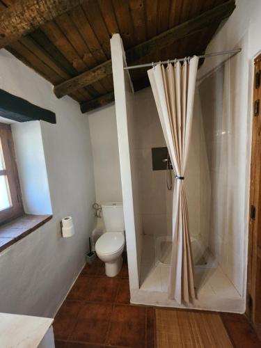 a bathroom with a toilet and a shower with a shower curtain at Casa de la luz-Finca la Sierra in Berzocana
