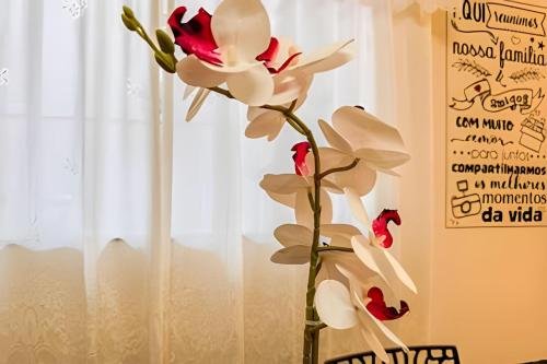 a vase with red and white flowers in front of a window at Vila São José 1 in Ourinhos