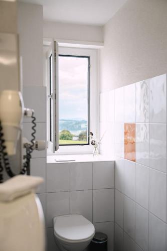 a bathroom with a toilet and a window at Hotel & Restaurant Nollen in Hosenruck