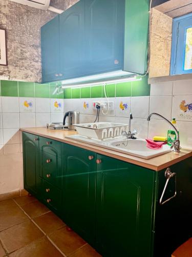 eine Küche mit grünen Schränken und einem Waschbecken in der Unterkunft Cornaro House in Arsos