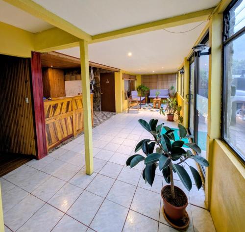 a porch with a potted plant on a house at Miztli Lodge & Adventure in Monteverde Costa Rica