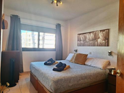 P&P - Apartment Iguazu - simply the best location!